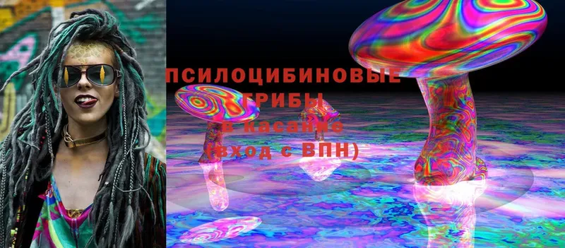 Галлюциногенные грибы Magic Shrooms  mega вход  Мытищи 